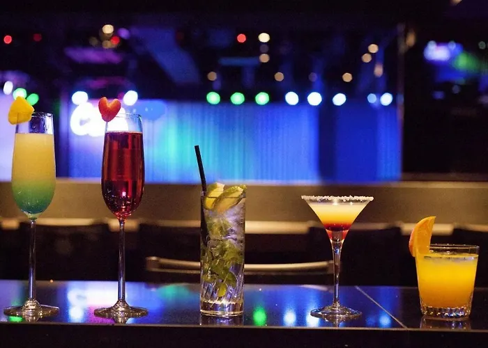 奈良皮亚扎酒店